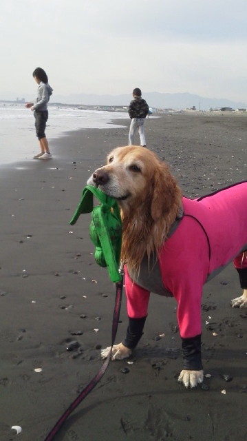 ファイル 3351-2.jpg