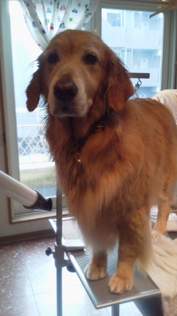 ファイル 3351-4.jpg