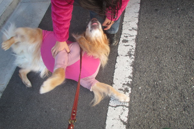 ファイル 3352-1.jpg