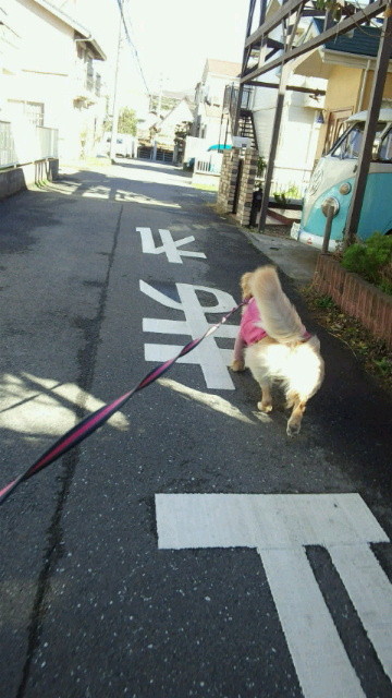 ファイル 3352-3.jpg