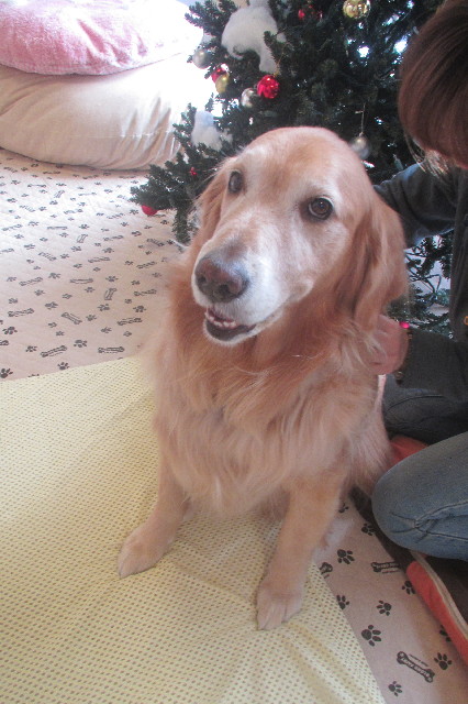 ファイル 3353-5.jpg