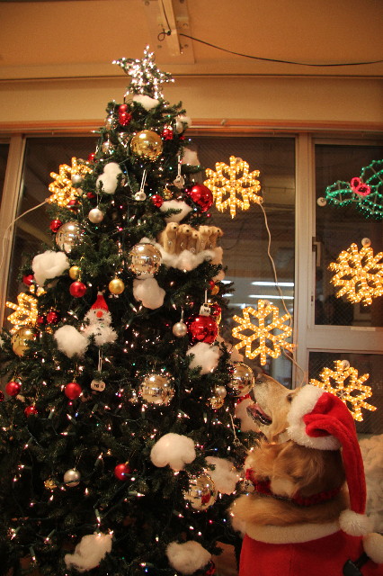 ファイル 3356-4.jpg