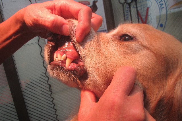 ファイル 3359-2.jpg