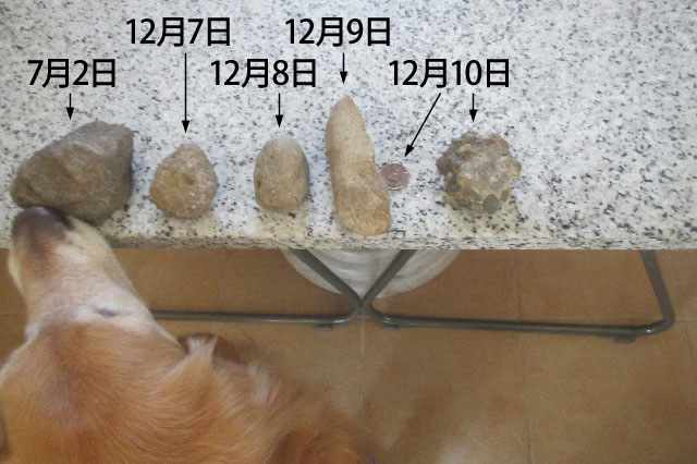 ファイル 3359-3.jpg