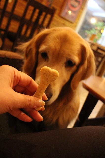 ファイル 3362-4.jpg