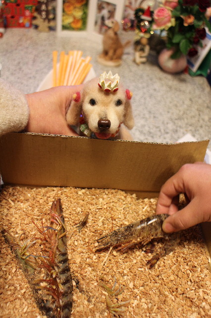 ファイル 3363-2.jpg