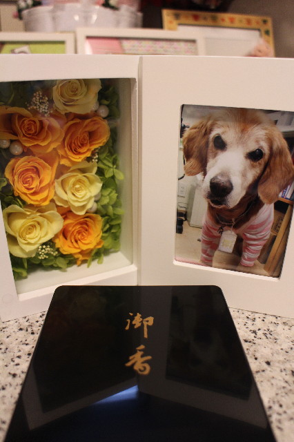 ファイル 3364-3.jpg