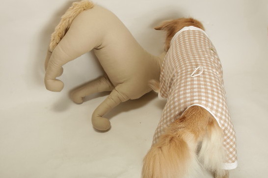 ファイル 3365-3.jpg