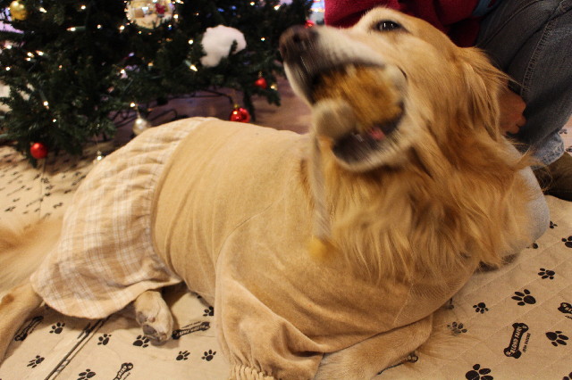 ファイル 3365-4.jpg