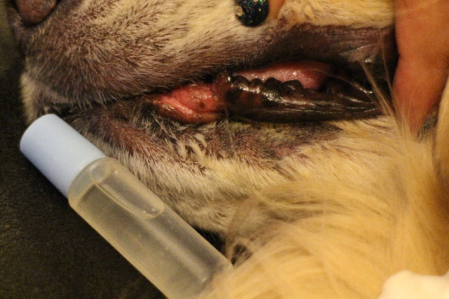 ファイル 3368-3.jpg