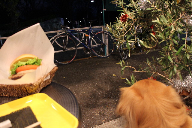 ファイル 3368-5.jpg