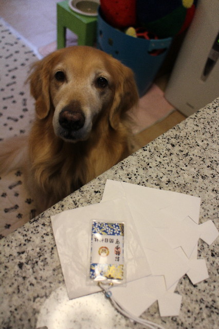 ファイル 3371-1.jpg