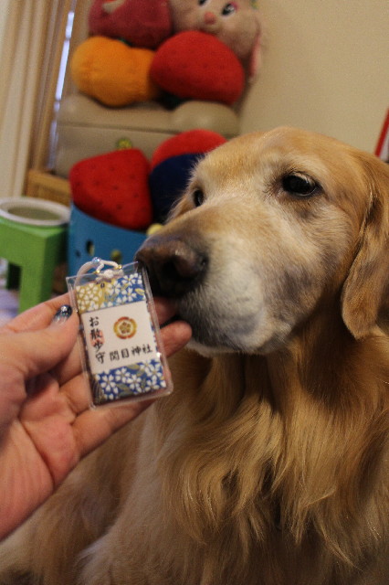 ファイル 3371-2.jpg