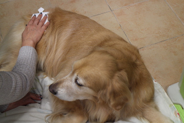 ファイル 3371-5.jpg