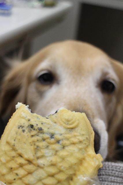 ファイル 3372-4.jpg