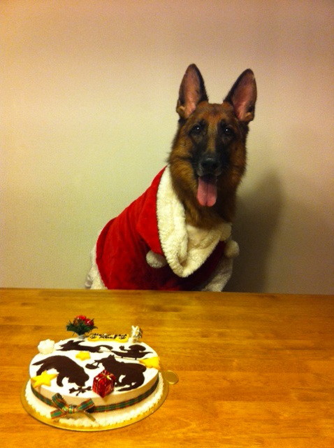 ファイル 3373-4.jpg