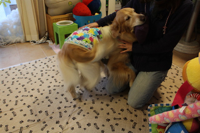 ファイル 3376-1.jpg