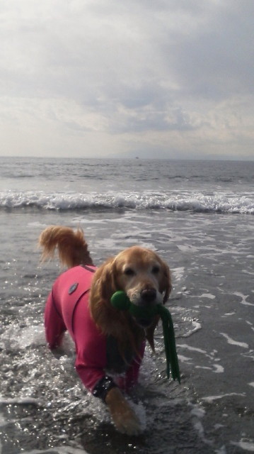 ファイル 3377-3.jpg