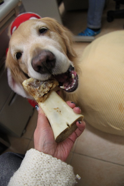 ファイル 3379-2.jpg