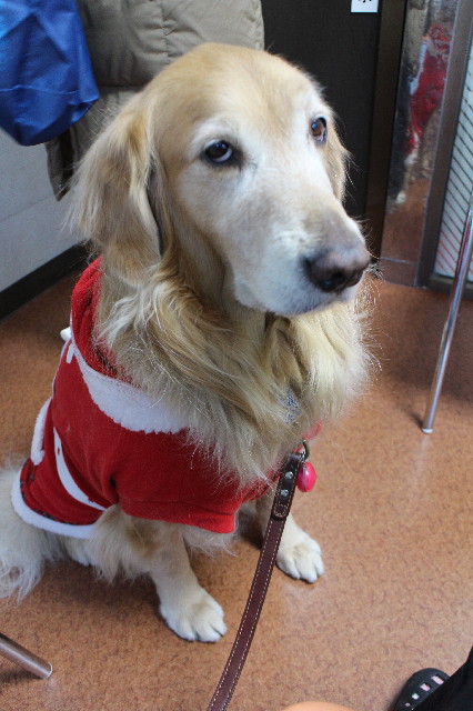 ファイル 3379-4.jpg