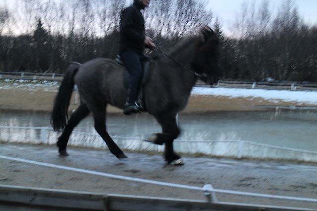 ファイル 3387-4.jpg