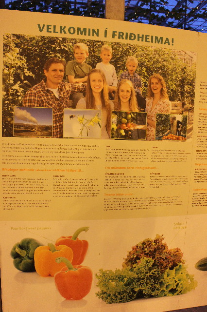 ファイル 3388-2.jpg