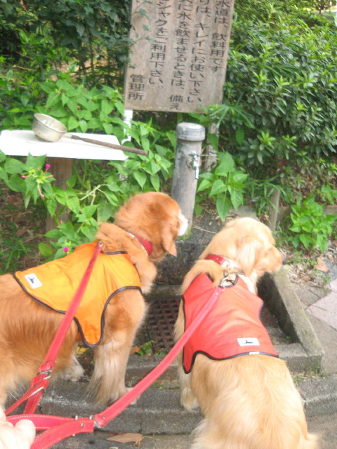 ファイル 340-3.jpg