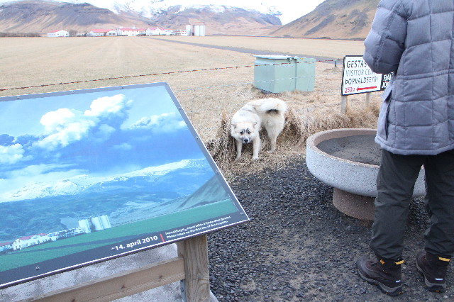 ファイル 3409-2.jpg