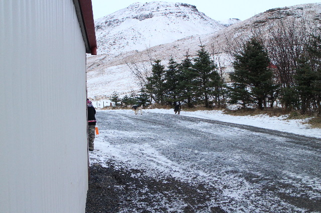 ファイル 3409-3.jpg