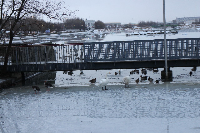 ファイル 3413-4.jpg