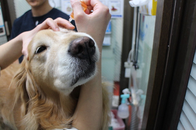 ファイル 3420-2.jpg