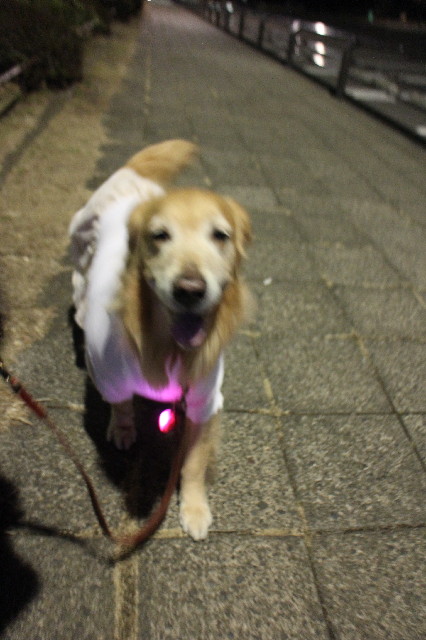 ファイル 3420-4.jpg