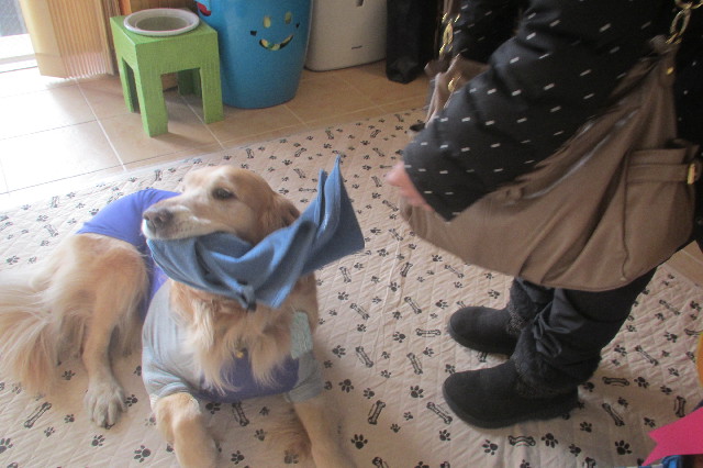 ファイル 3422-3.jpg