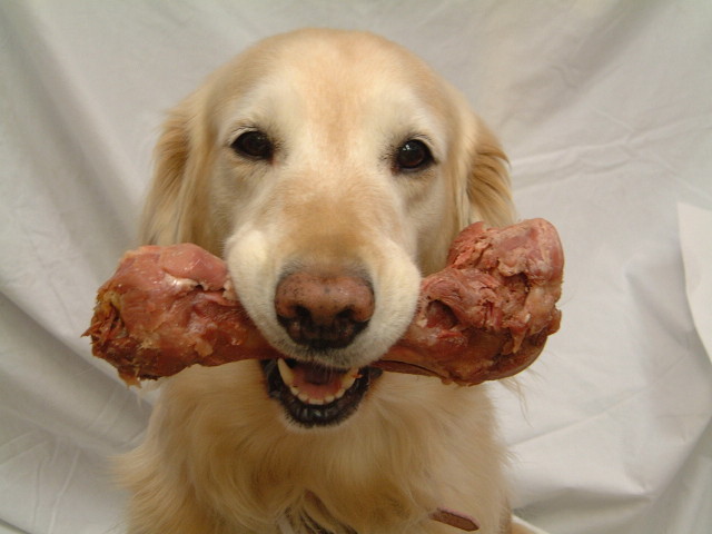 ファイル 3425-3.jpg