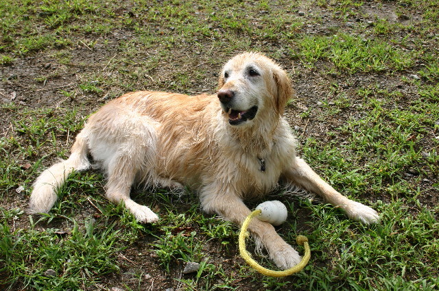 ファイル 3425-5.jpg