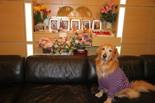 ファイル 3426-1.jpg