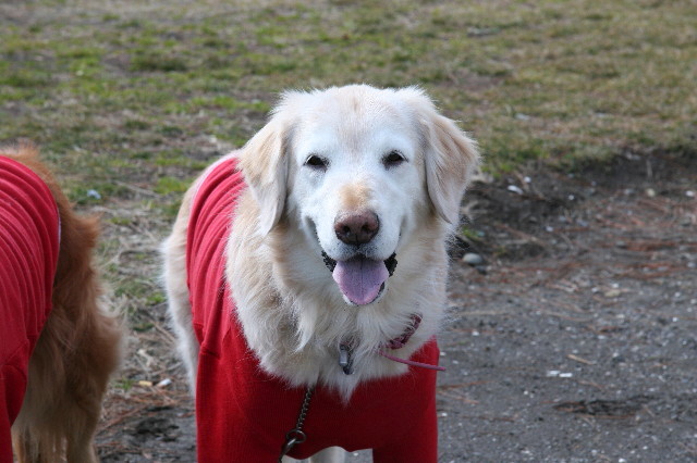 ファイル 3427-1.jpg