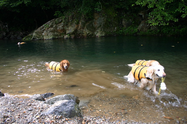 ファイル 3427-2.jpg