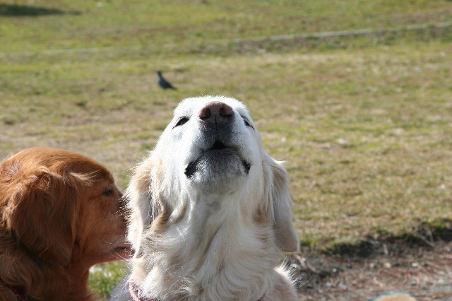 ファイル 3427-5.jpg