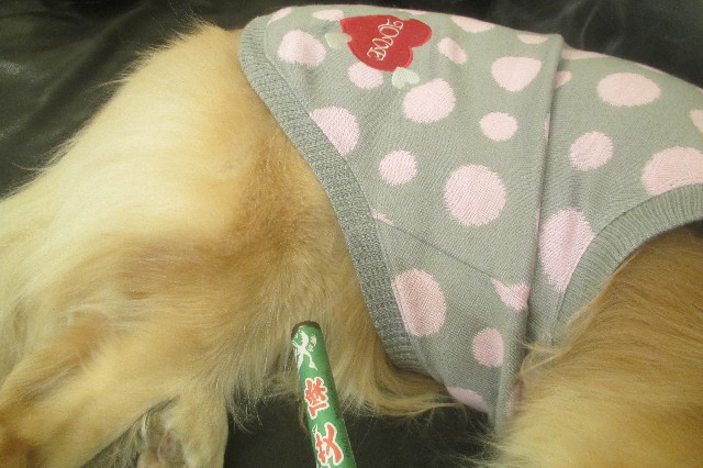 ファイル 3430-4.jpg