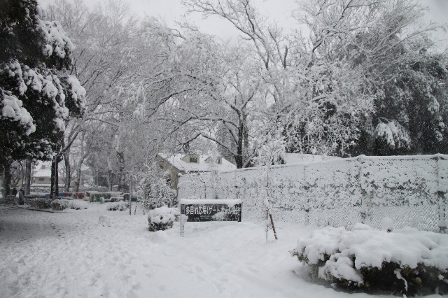 ファイル 3433-2.jpg