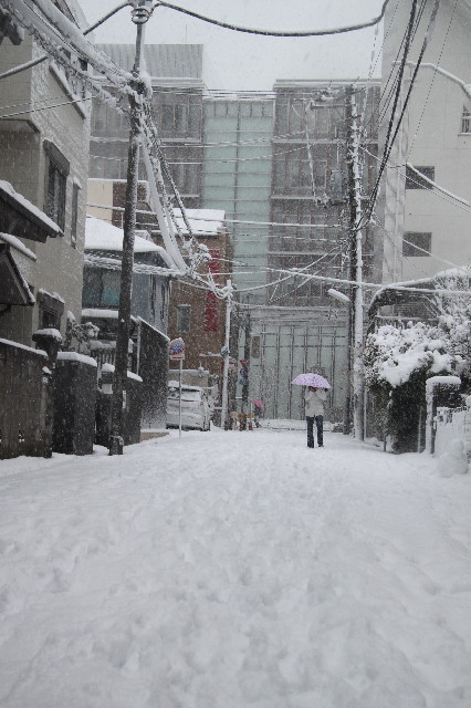 ファイル 3433-3.jpg