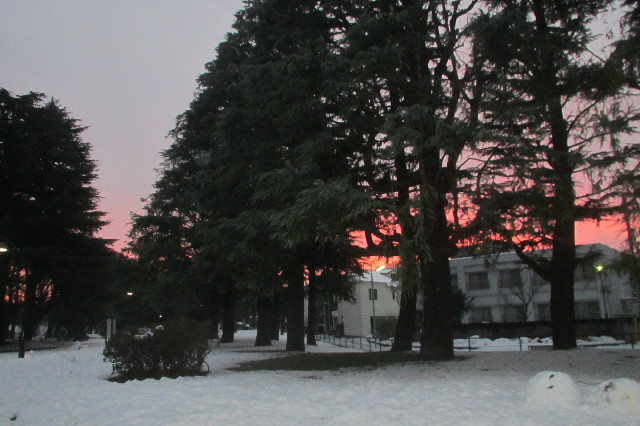 ファイル 3437-3.jpg