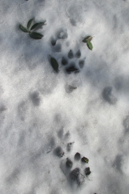 ファイル 3439-5.jpg