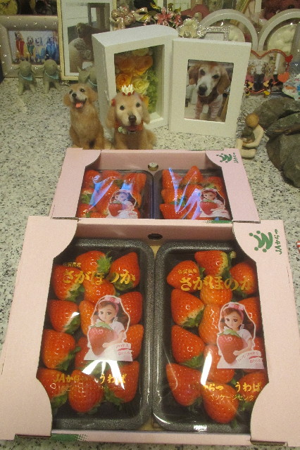 ファイル 3440-4.jpg