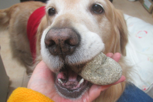 ファイル 3441-2.jpg