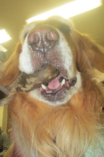 ファイル 3441-3.jpg