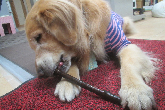 ファイル 3441-4.jpg