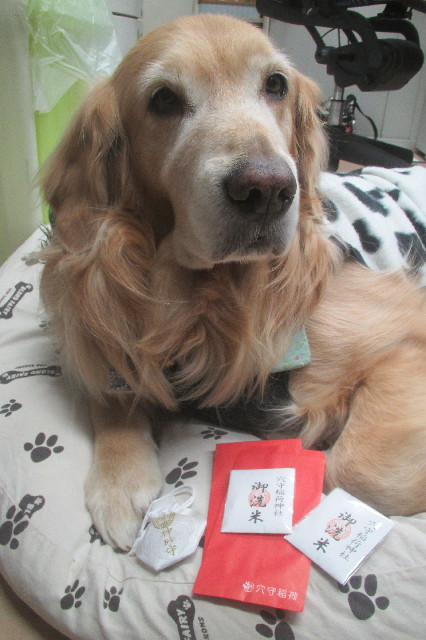 ファイル 3442-1.jpg