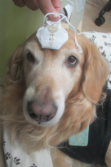 ファイル 3442-3.jpg